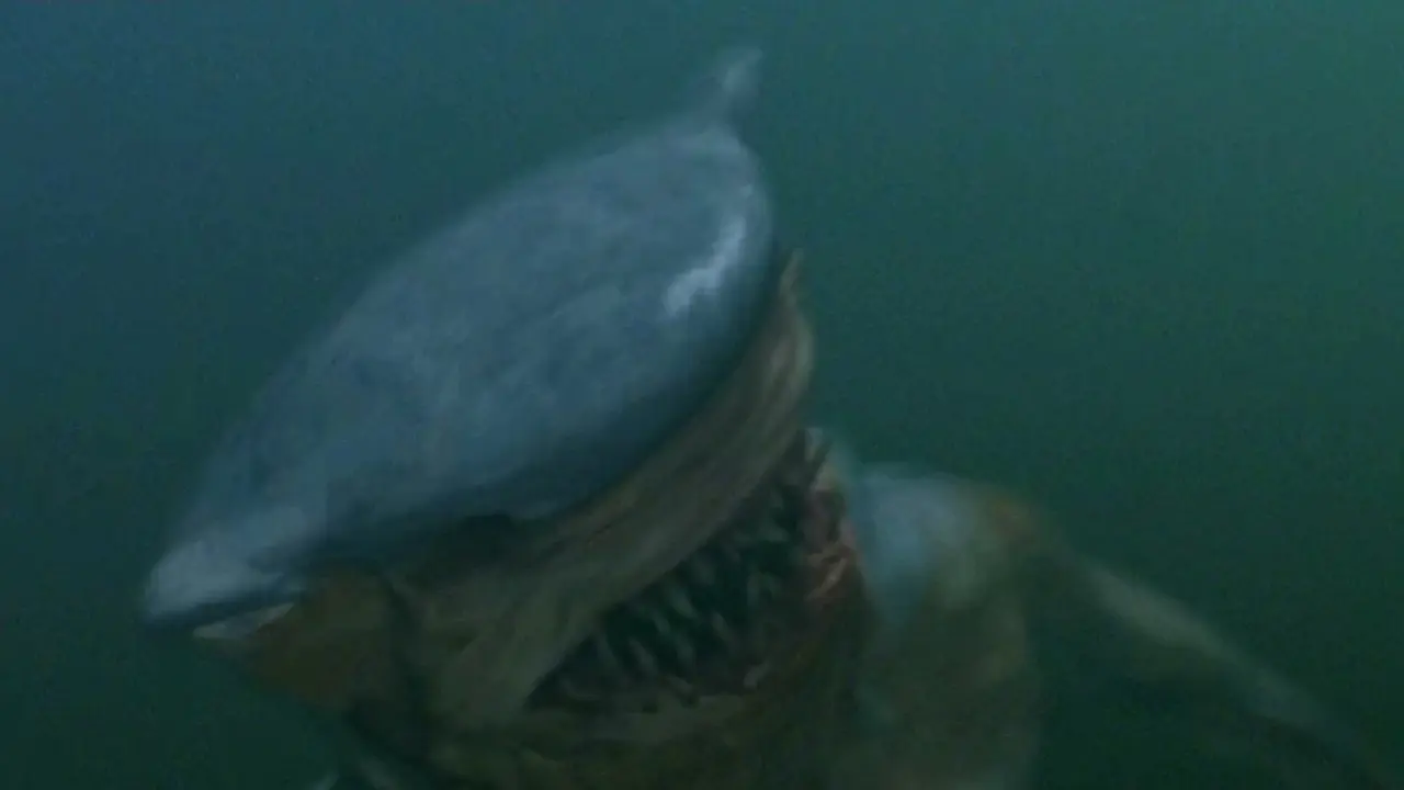 Hammerhead backdrop