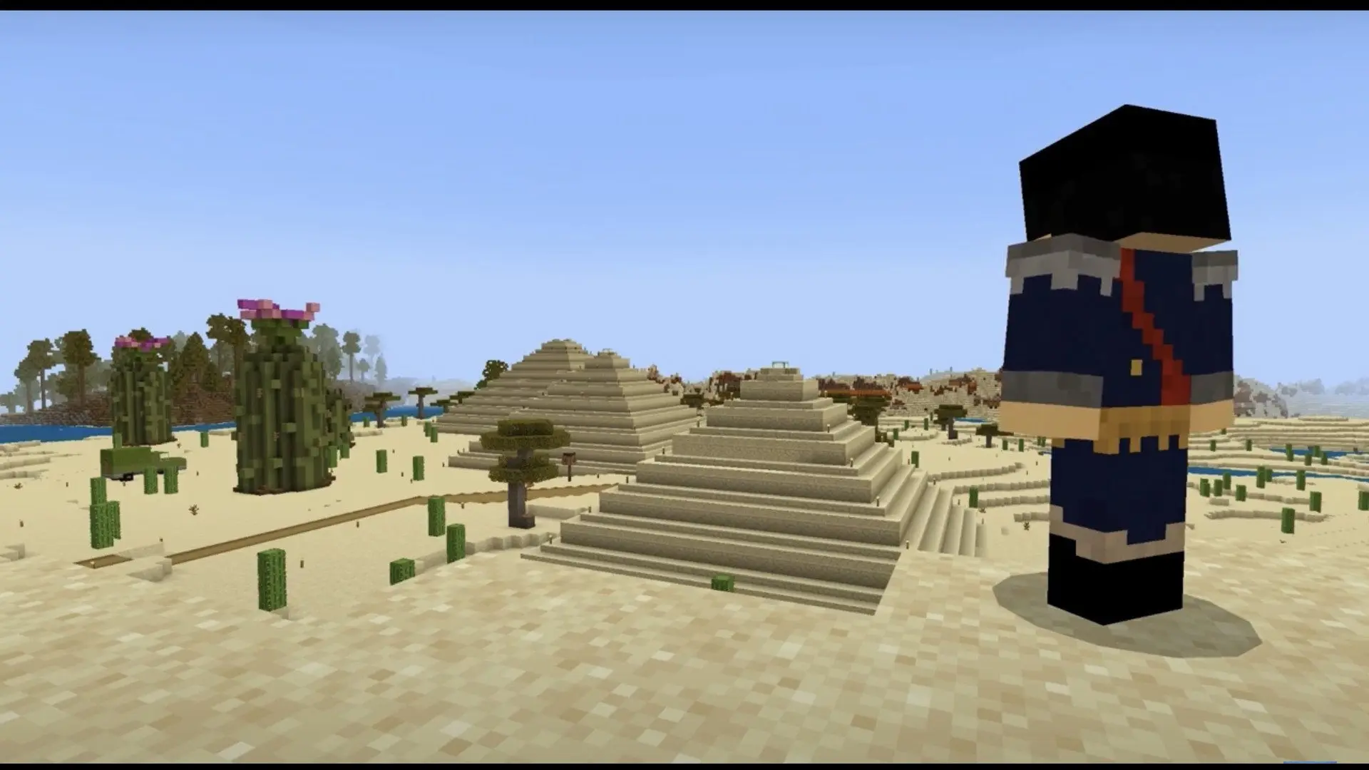 Block Nations SMP backdrop