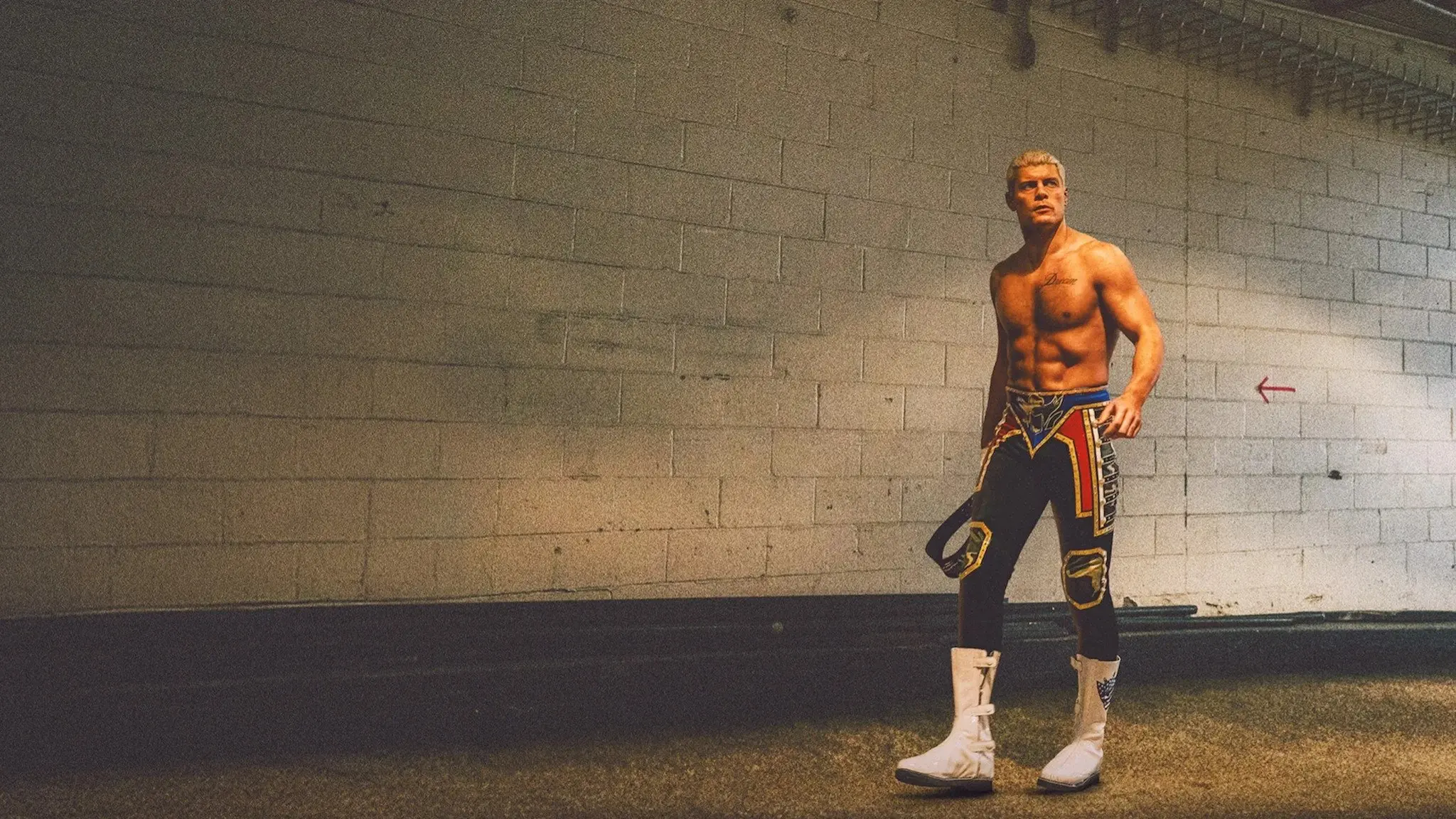 WWE: Unreal backdrop