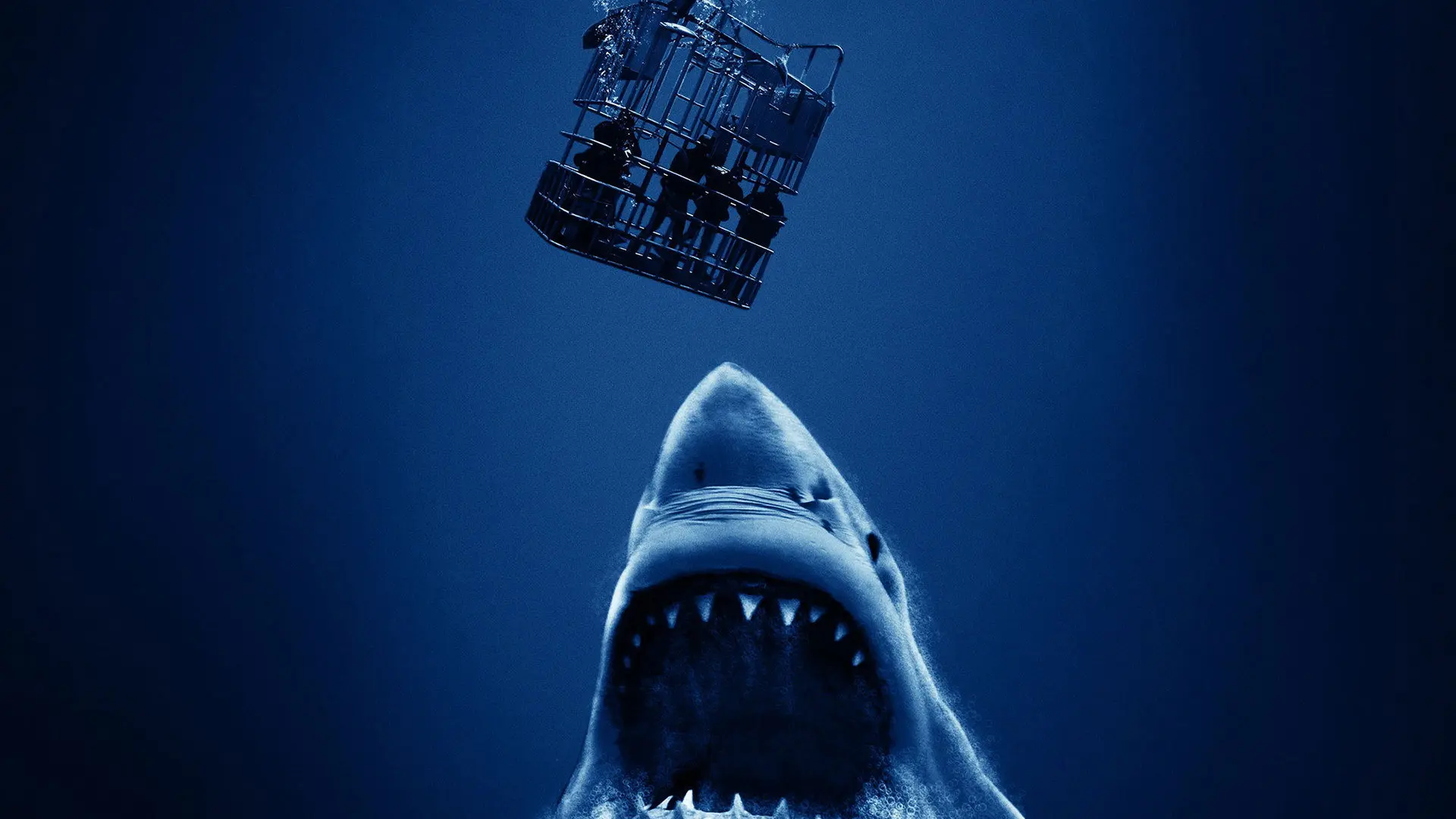 Cage Dive backdrop