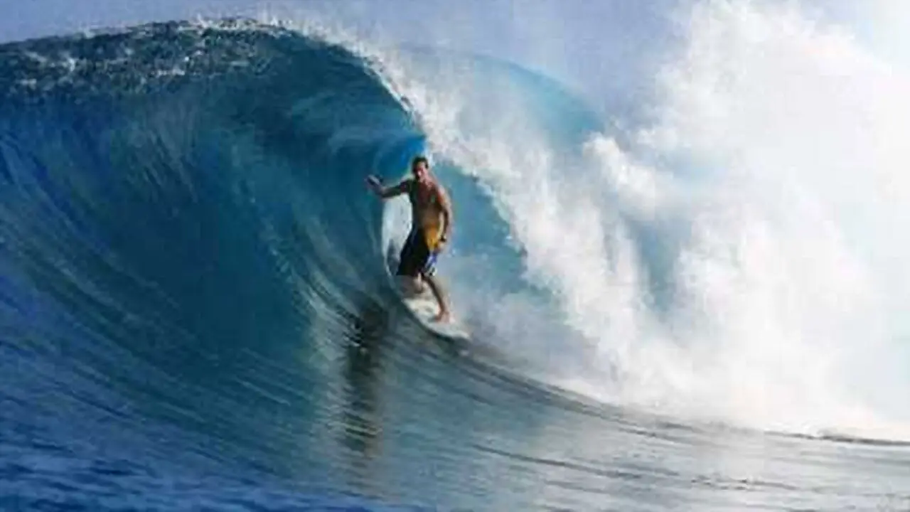 A Fly in the Champagne backdrop