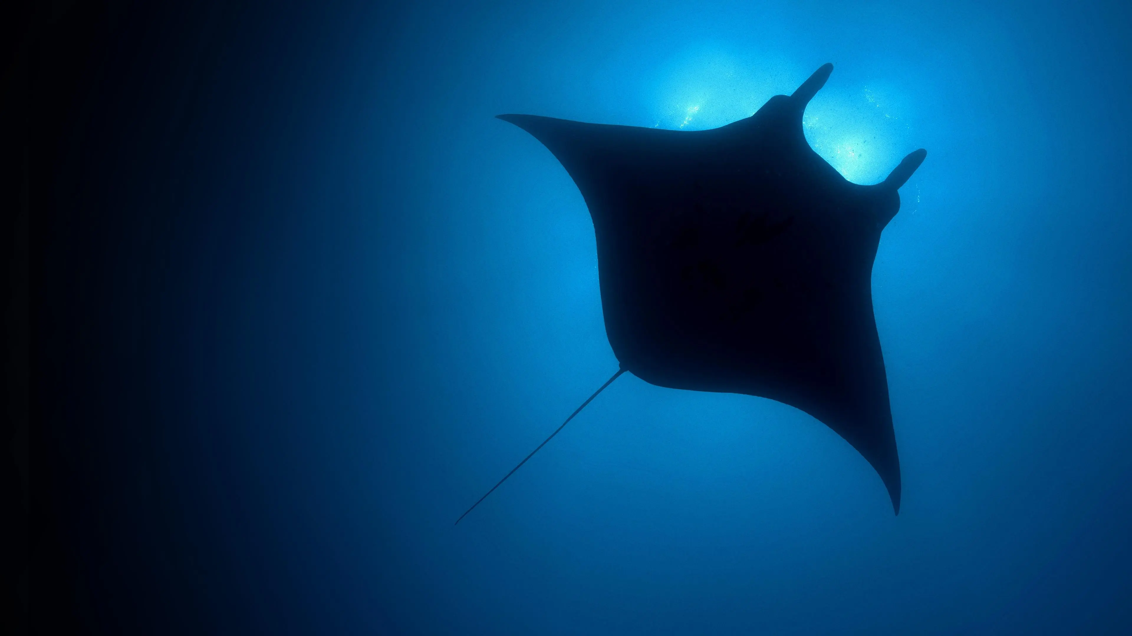 The Blue Planet backdrop