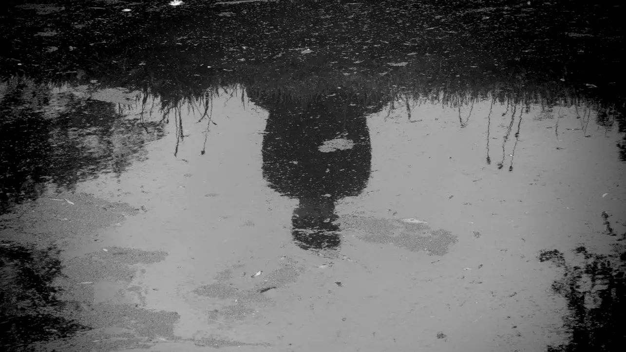 Narcissus backdrop