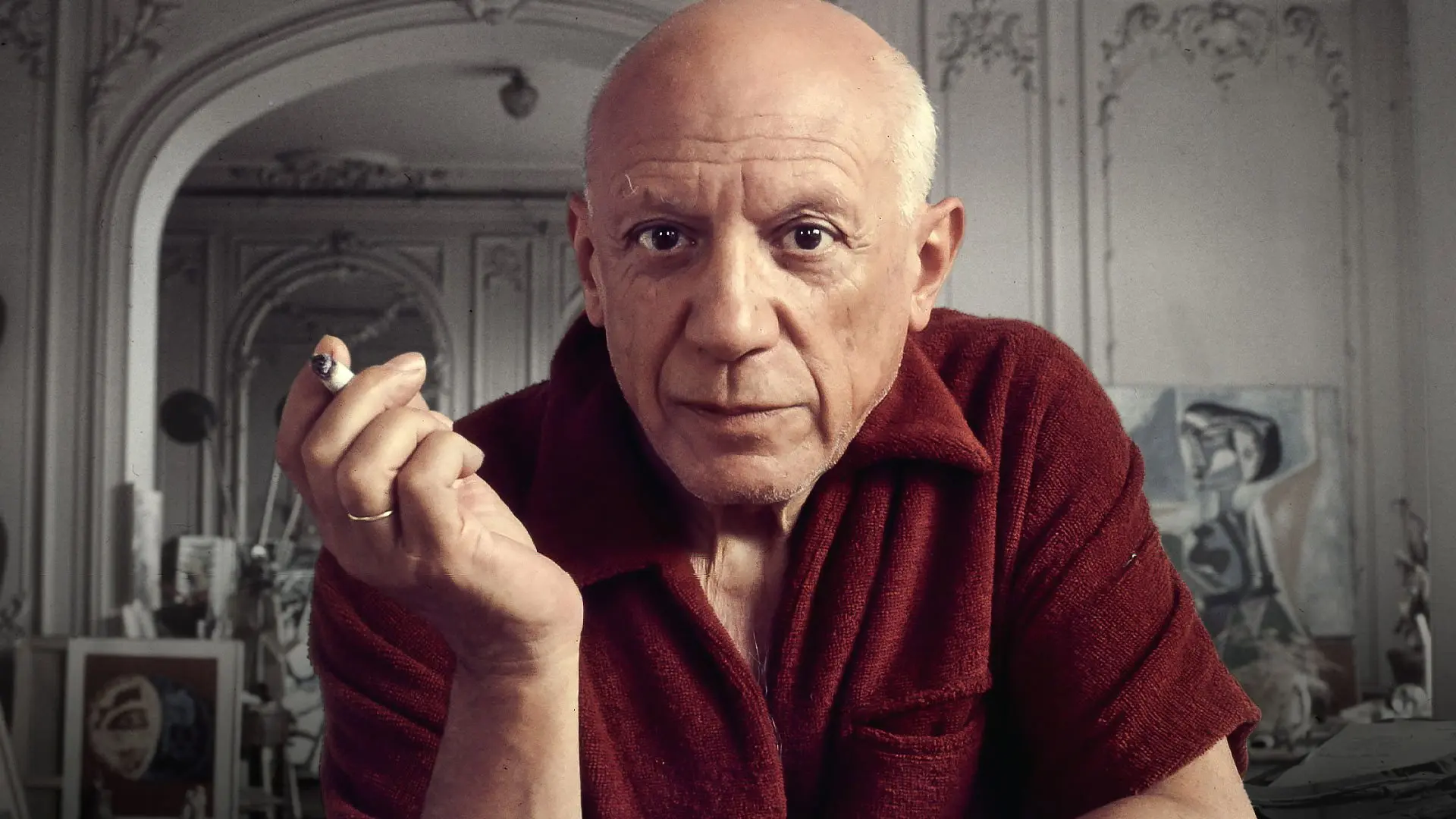 Picasso: The Beauty and the Beast backdrop