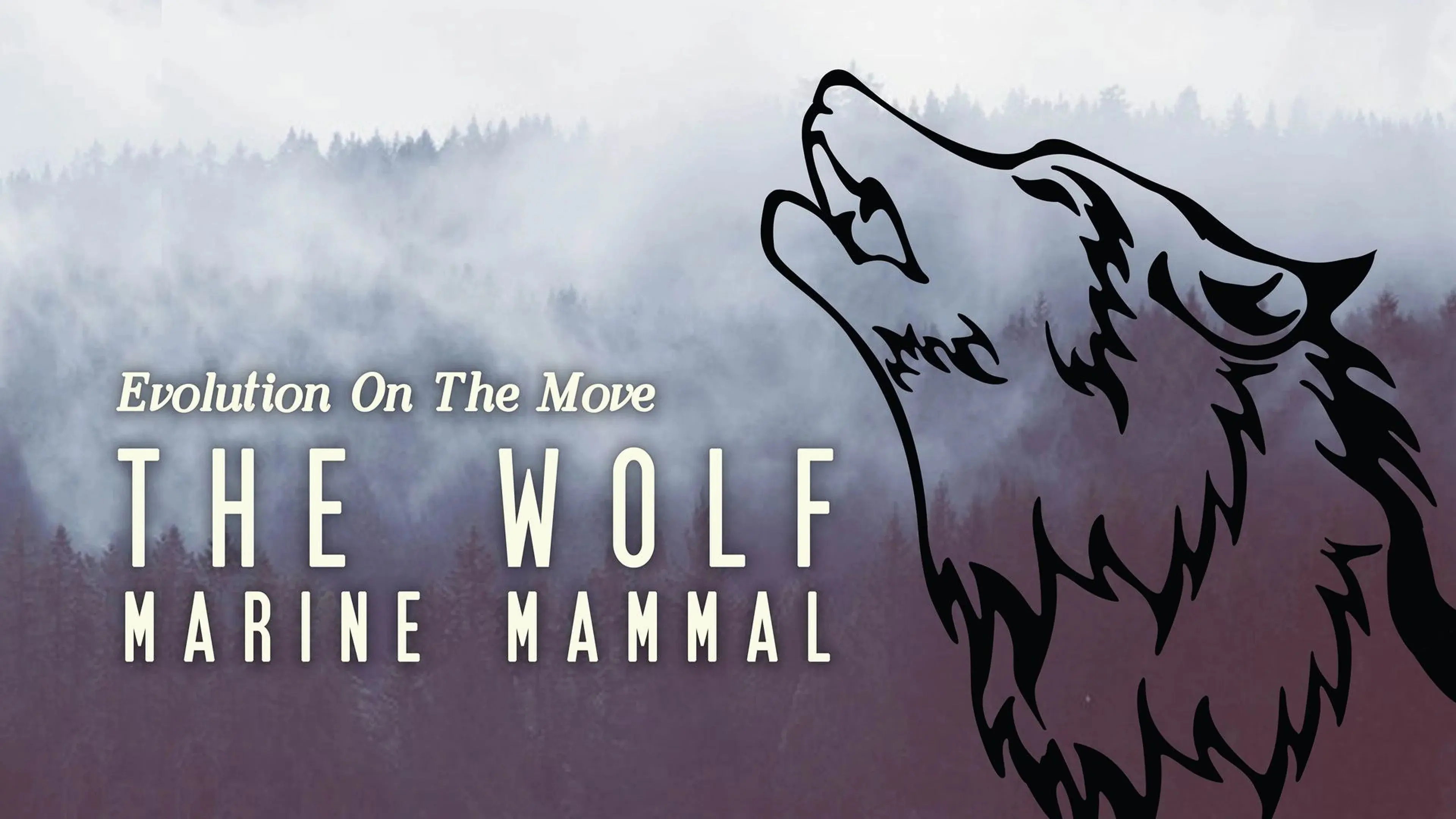 The Wolf: Marine Mammal backdrop