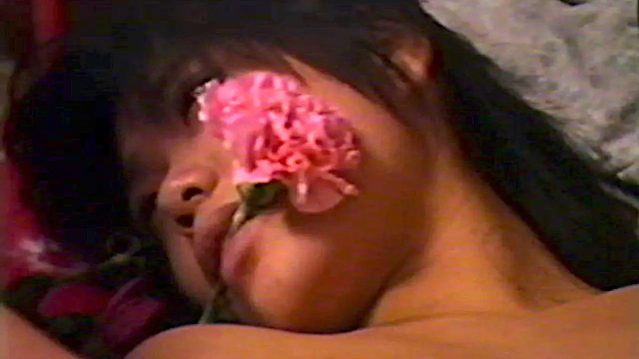 Reipu tokkun backdrop