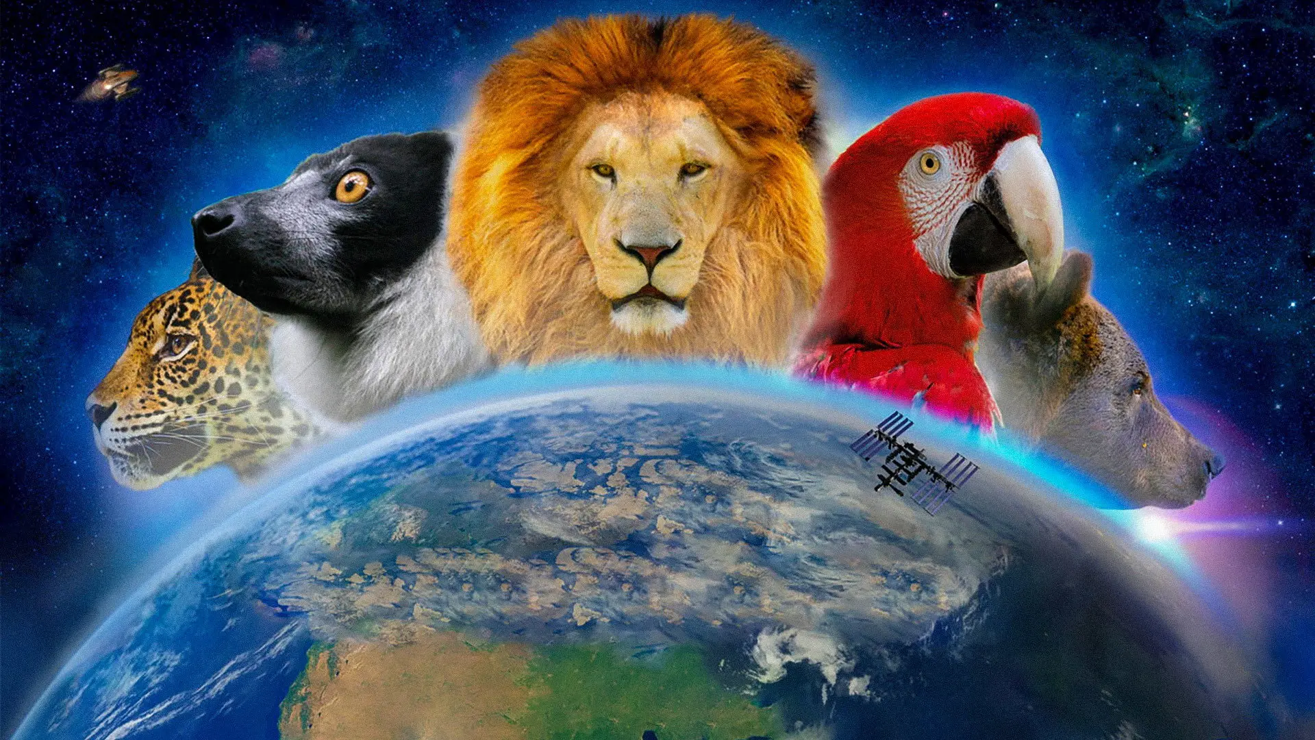 Wonderful World 3D backdrop