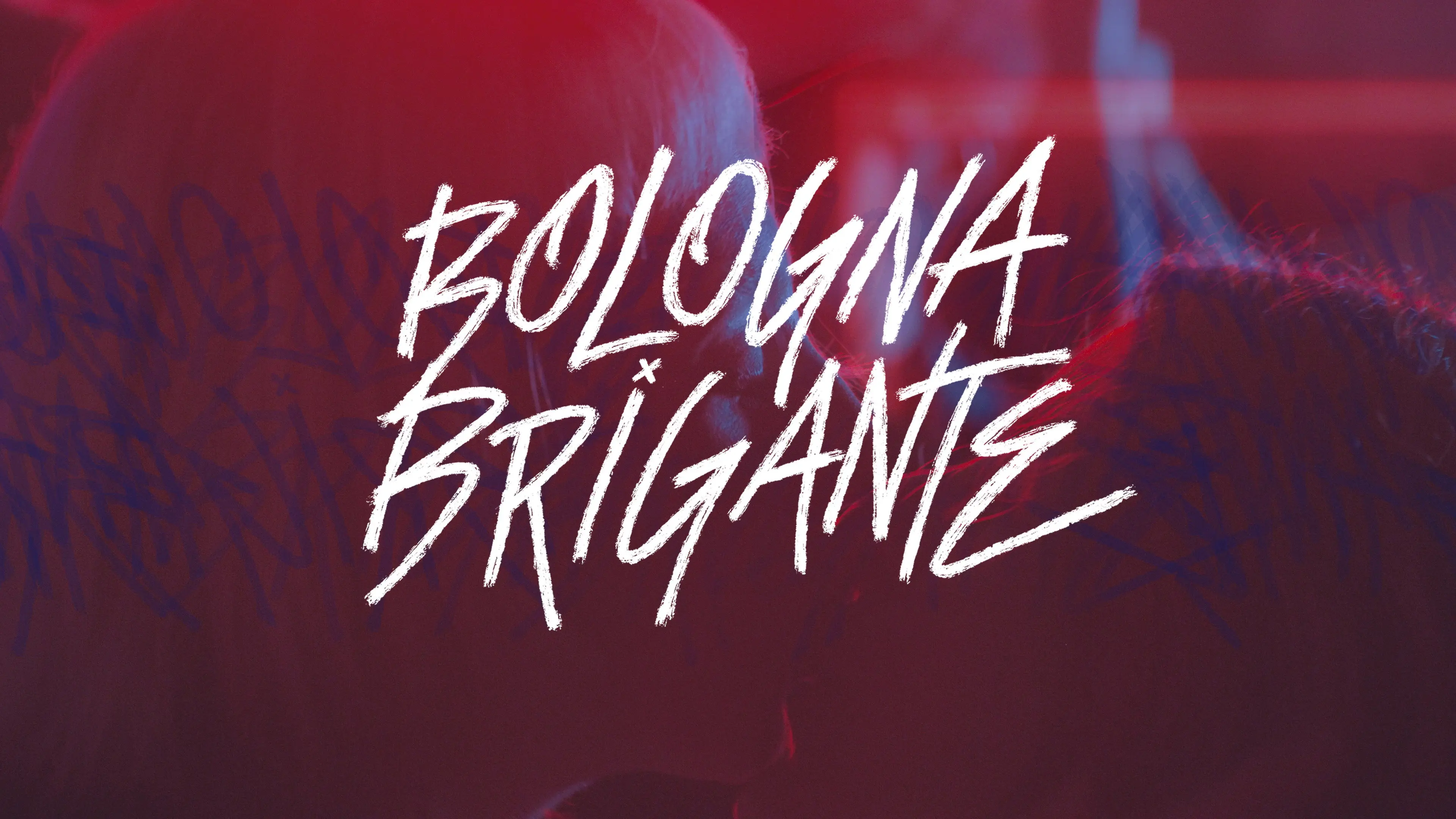 Bologna Brigante backdrop