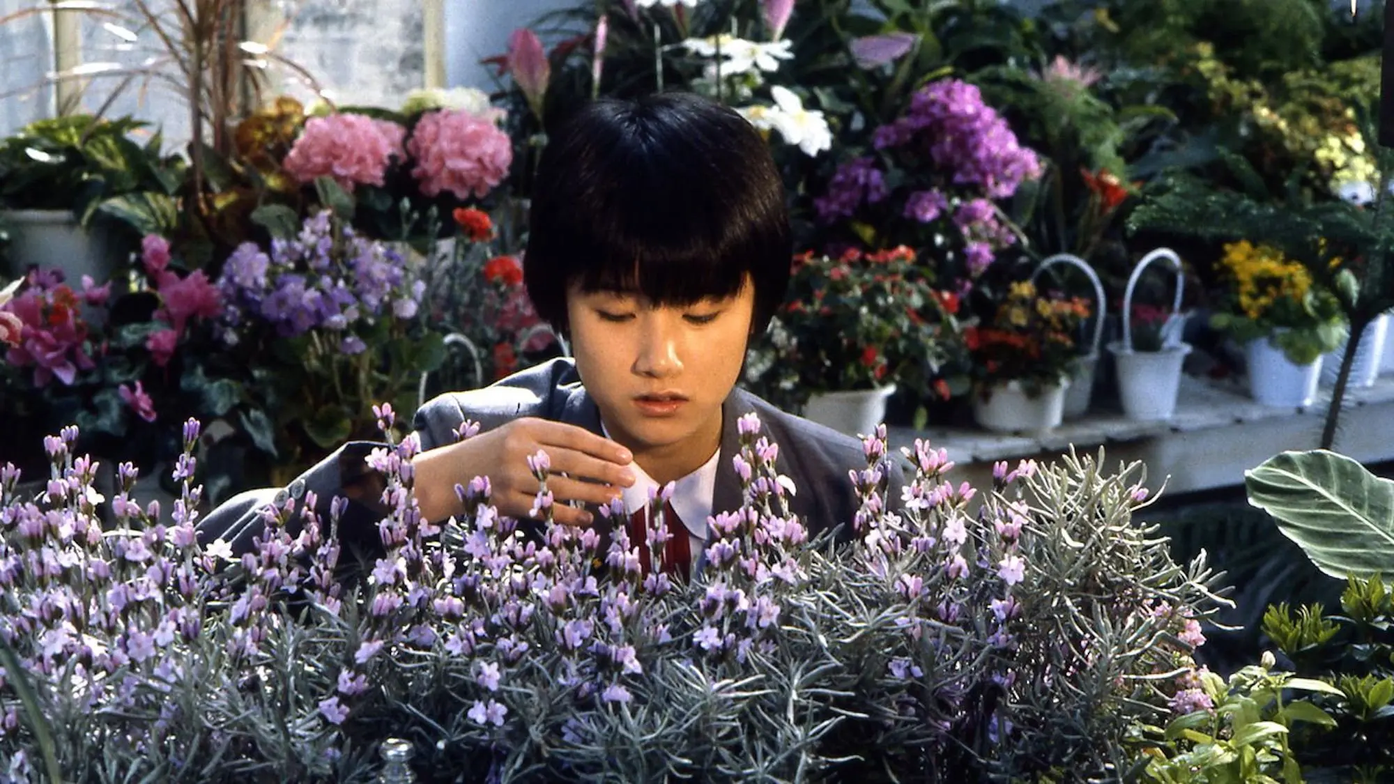 The Girl Who Leapt Through Time backdrop