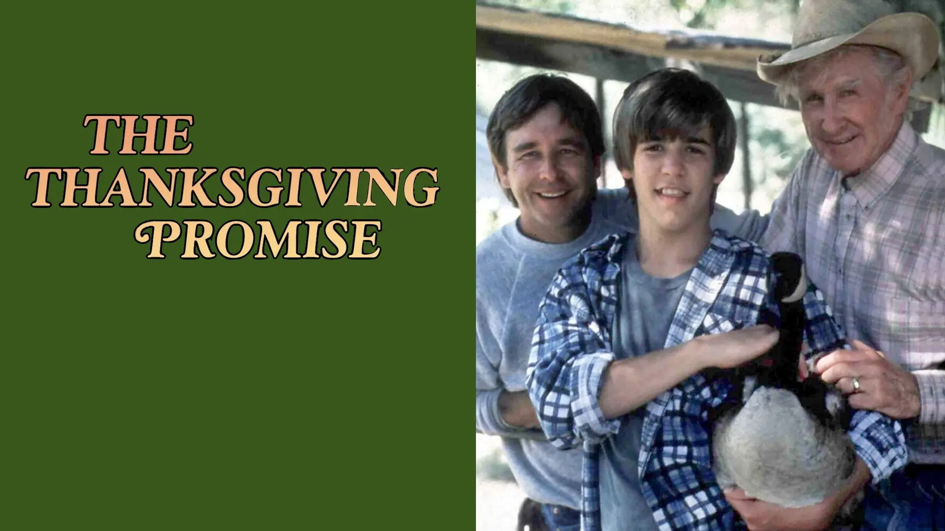 The Thanksgiving Promise backdrop