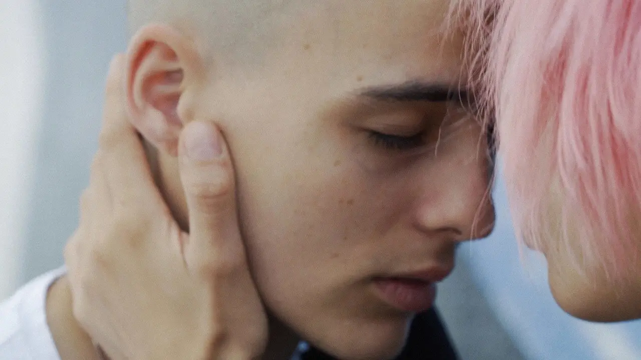 Beware of Dog backdrop