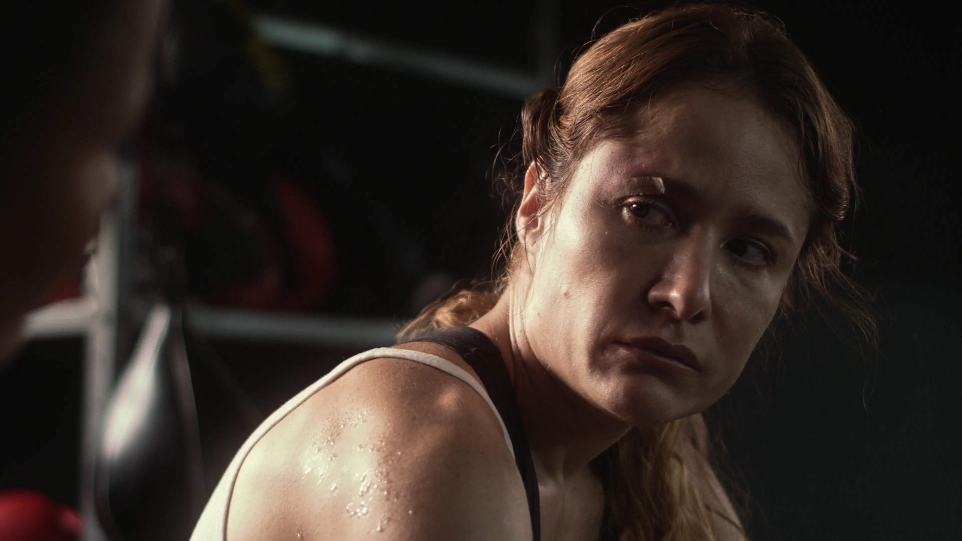 The Big Fight backdrop