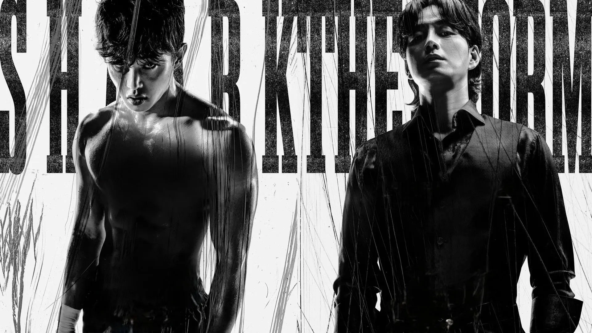 Shark: The Storm backdrop