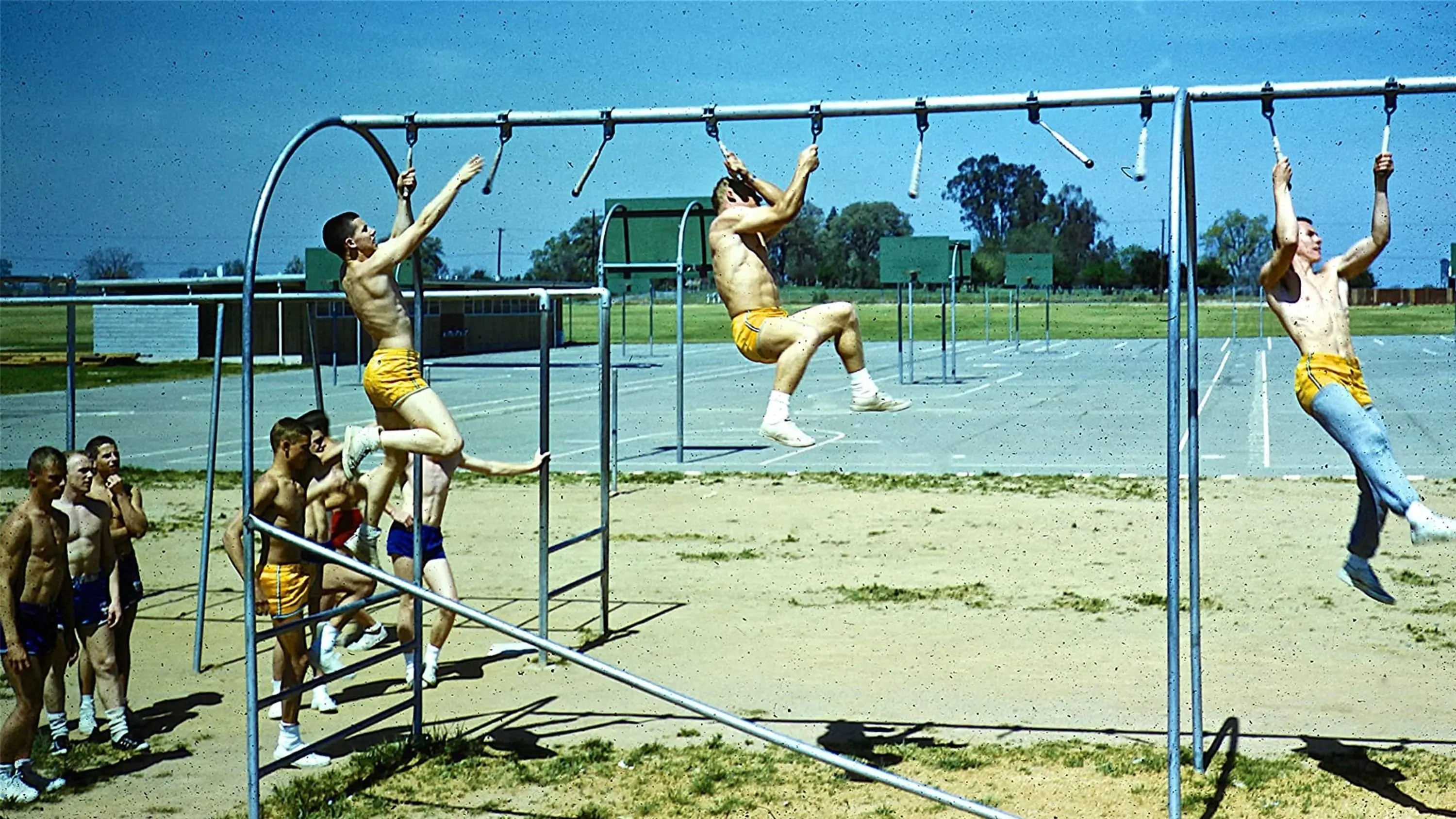 The Motivation Factor: to Become Smart, Productive & Mentally Stable backdrop