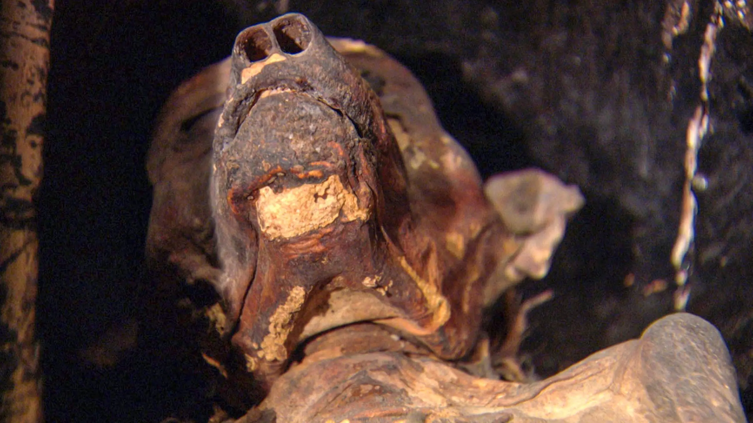 The Mysterious Mummified Dogs of Ancient Egypt backdrop