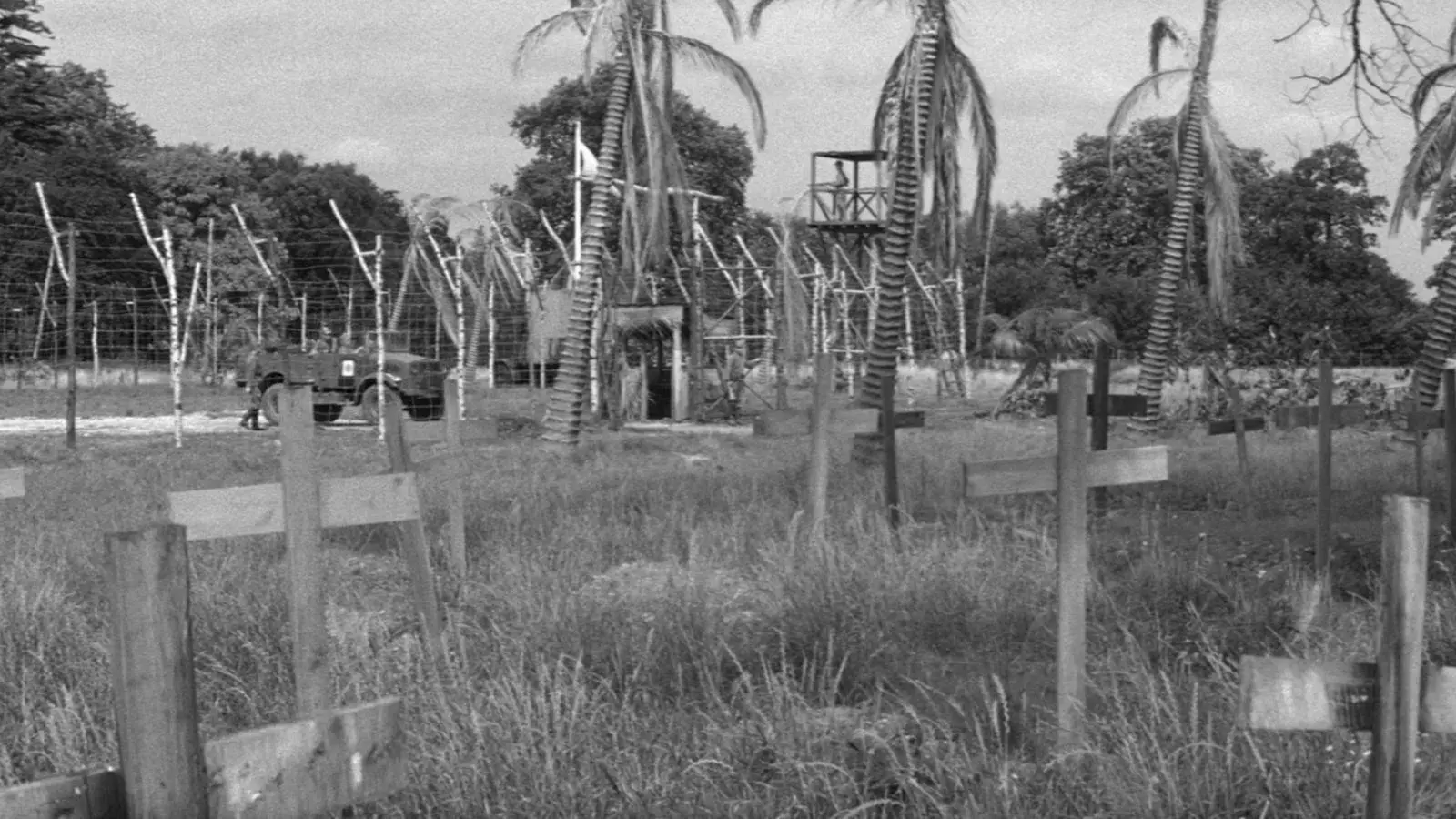 The Camp on Blood Island backdrop