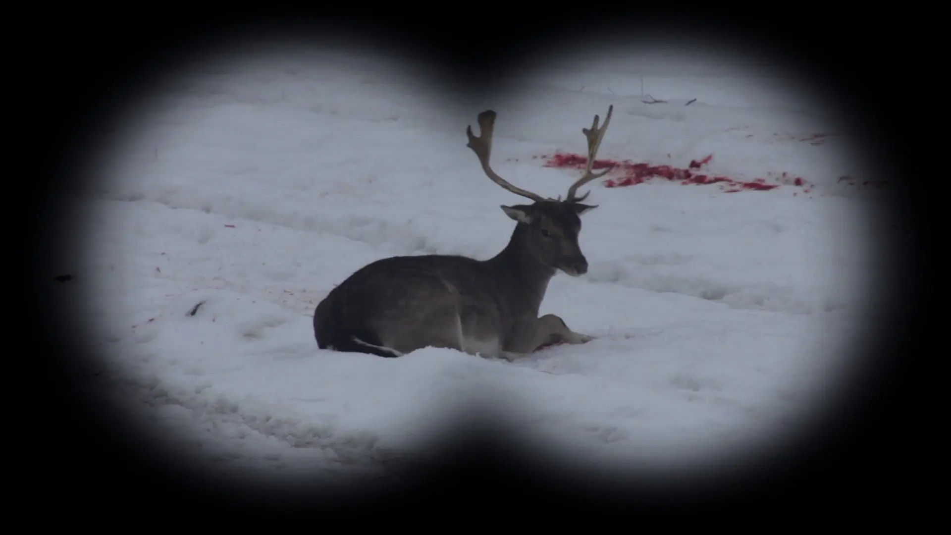 Long Live Hunting! backdrop