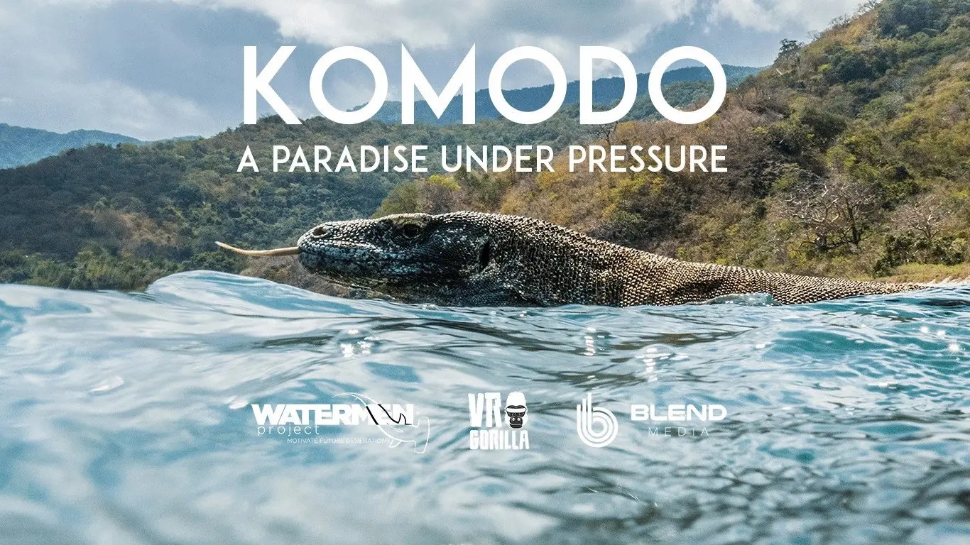 Komodo backdrop