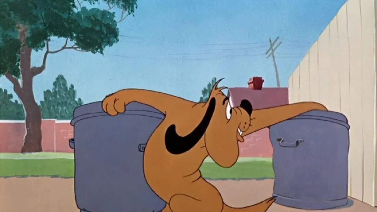 Doggone Cats backdrop