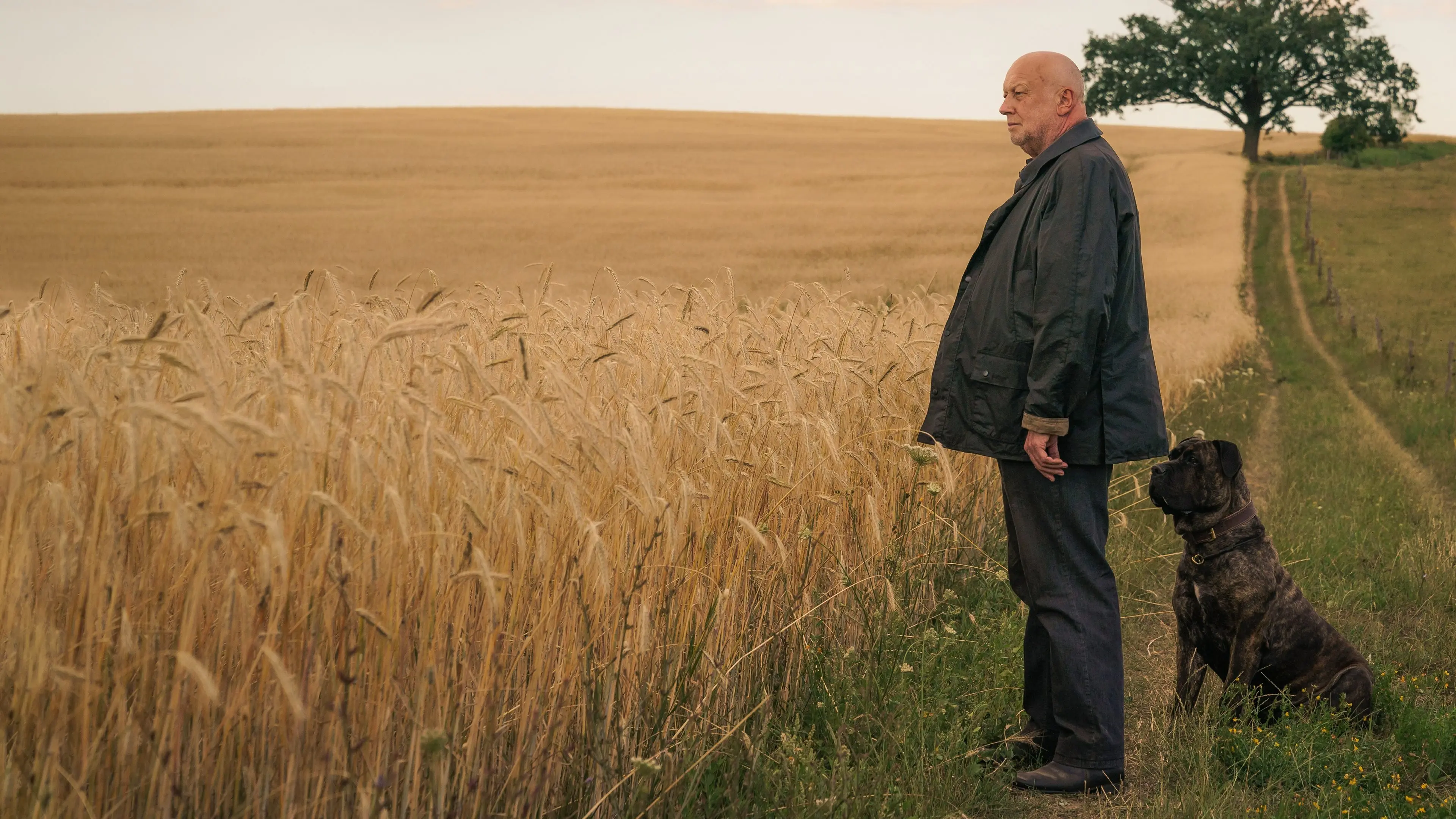 Unterleuten: The Torn Village backdrop