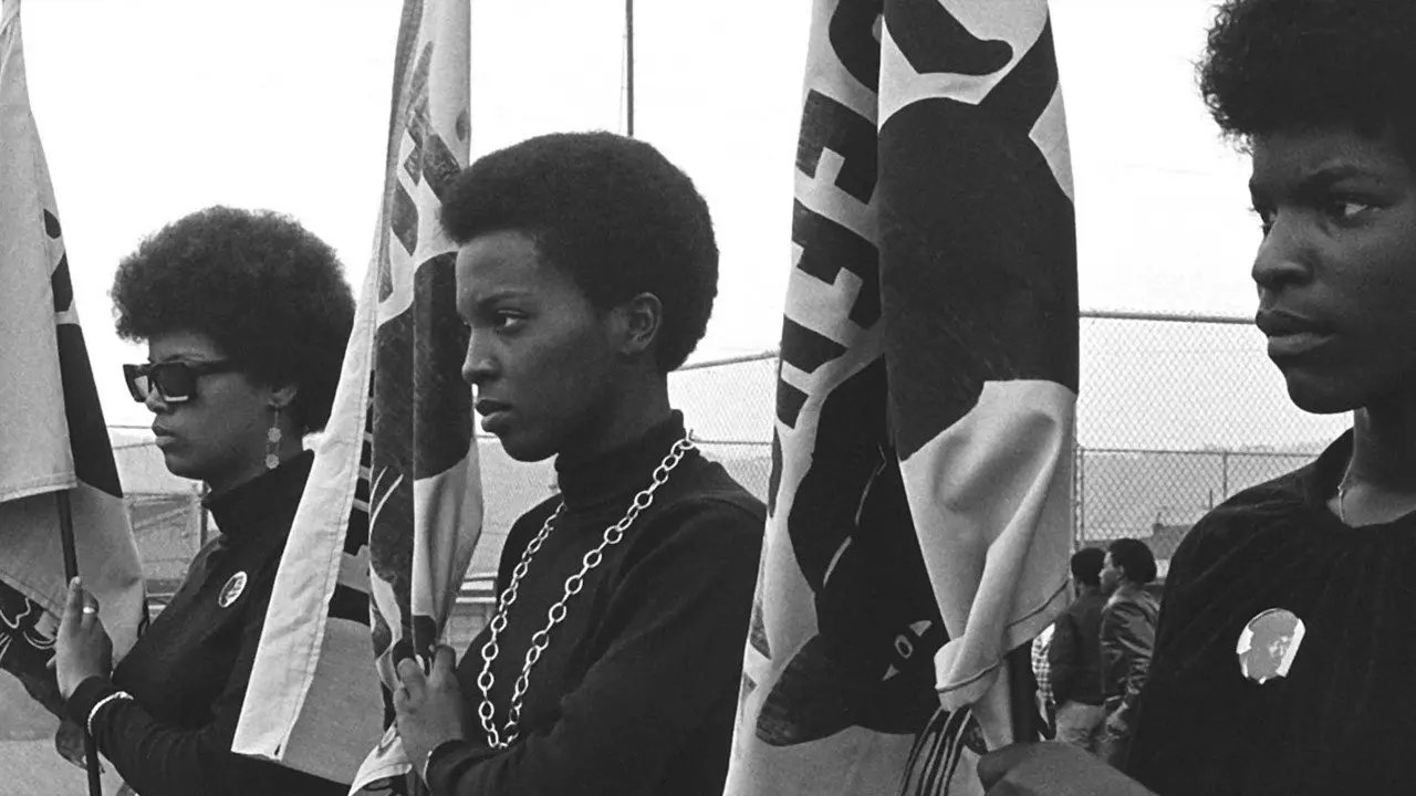 The Black Panthers: Vanguard of the Revolution backdrop