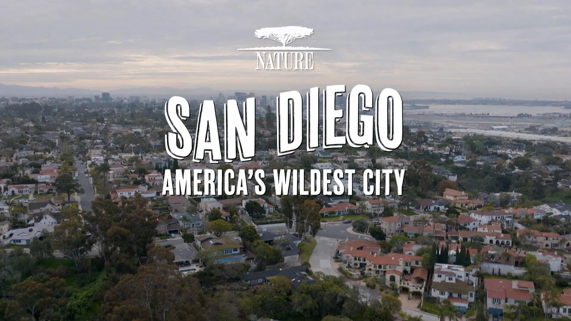San Diego: America's Wildest City backdrop