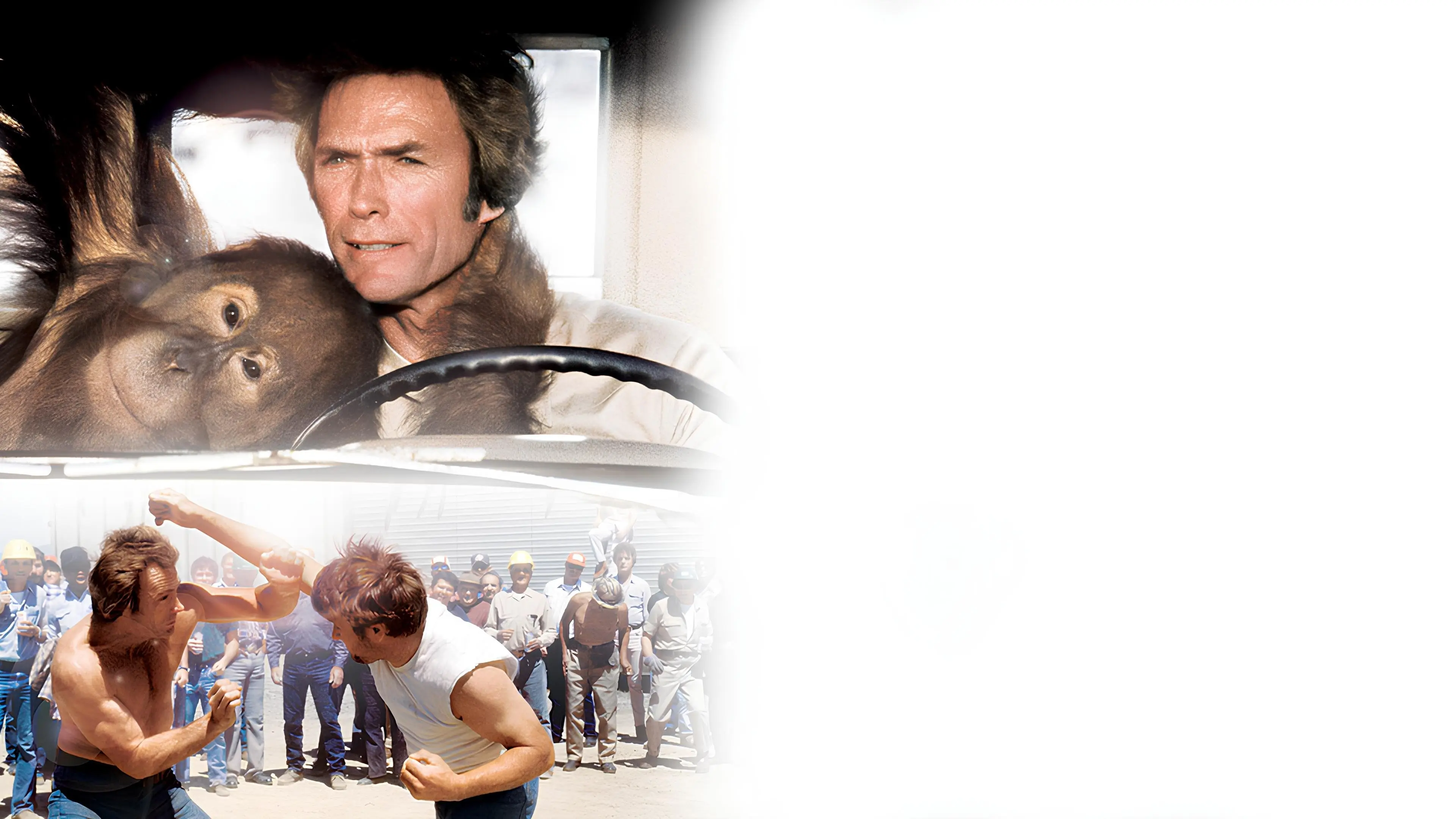 Every Which Way but Loose backdrop