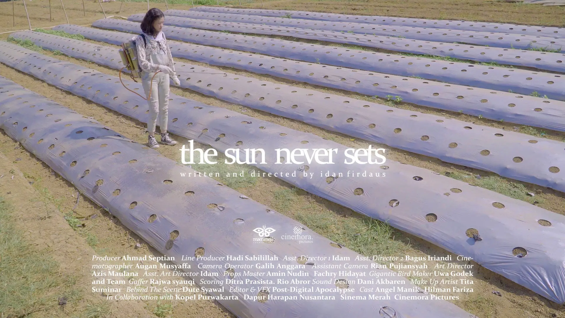 The Sun Never Sets backdrop