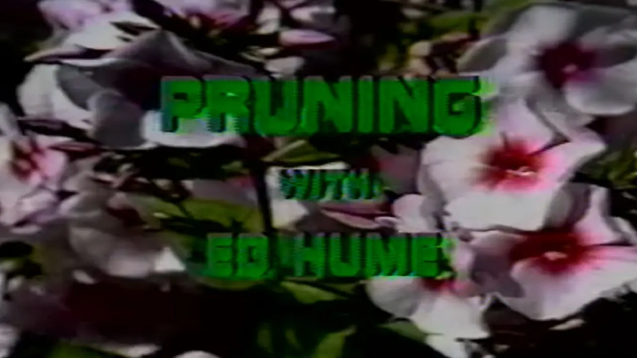 Pruning with Ed Hume backdrop