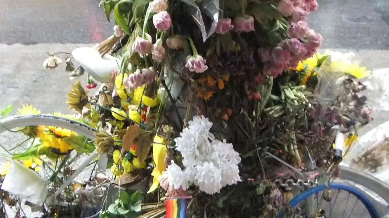 Flowers and Bike backdrop