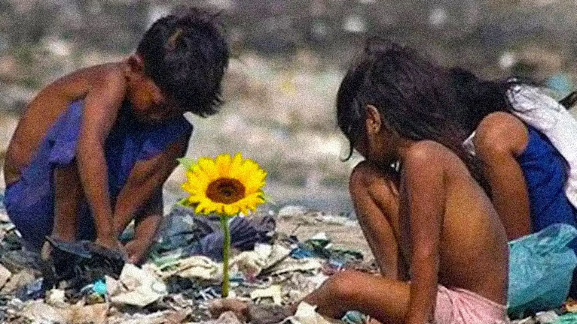 Isle of Flowers backdrop