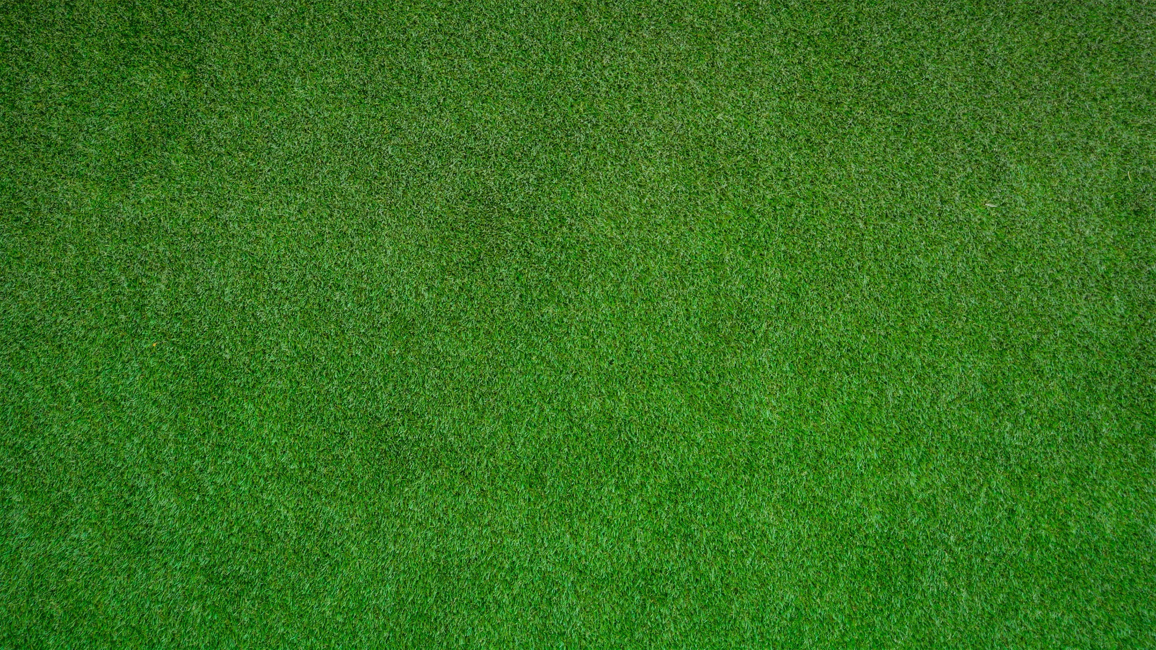 The Mulligan's Island Invitational backdrop