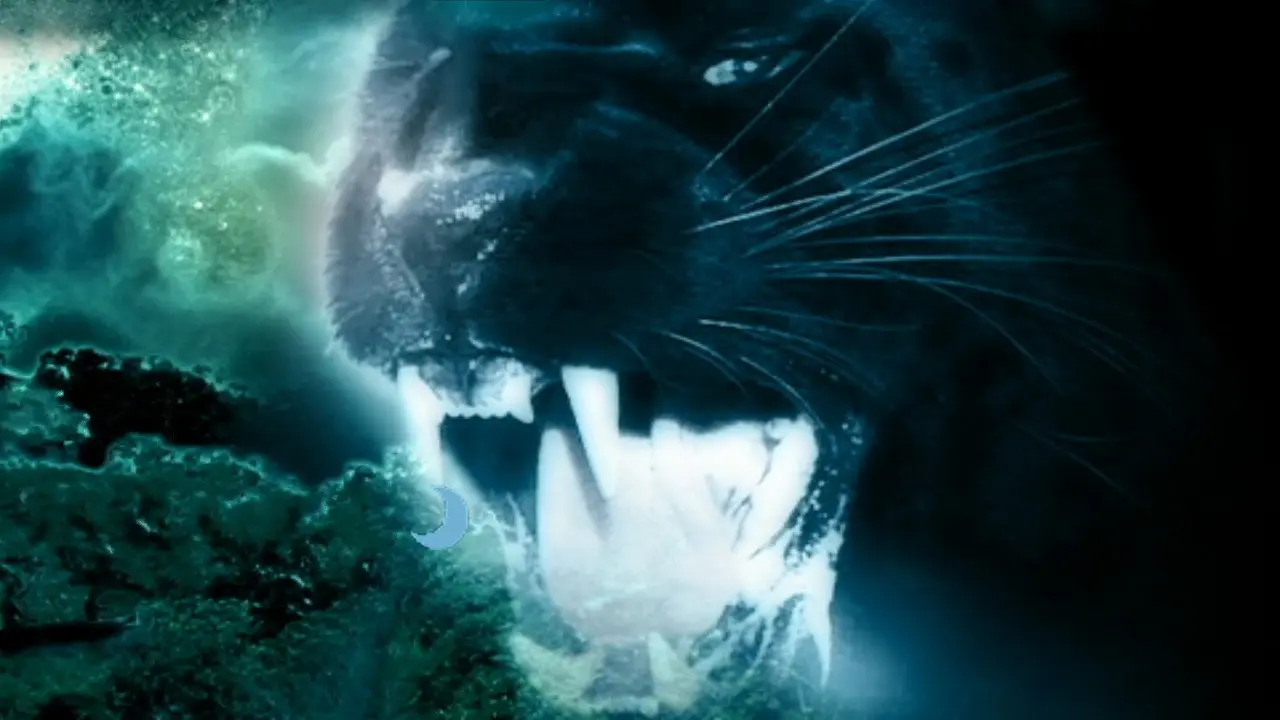 Night Creature backdrop