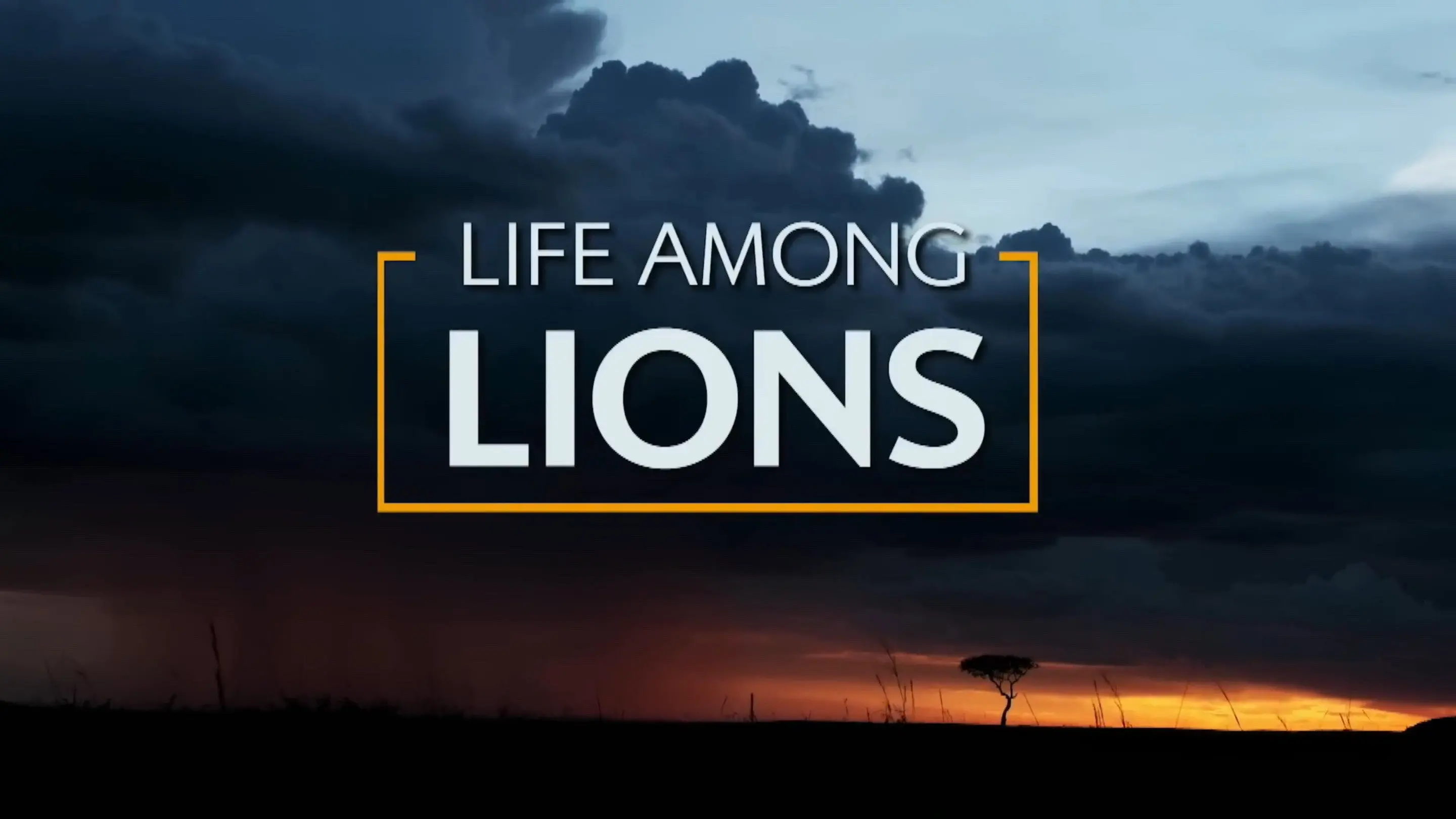 Life Among Lions backdrop