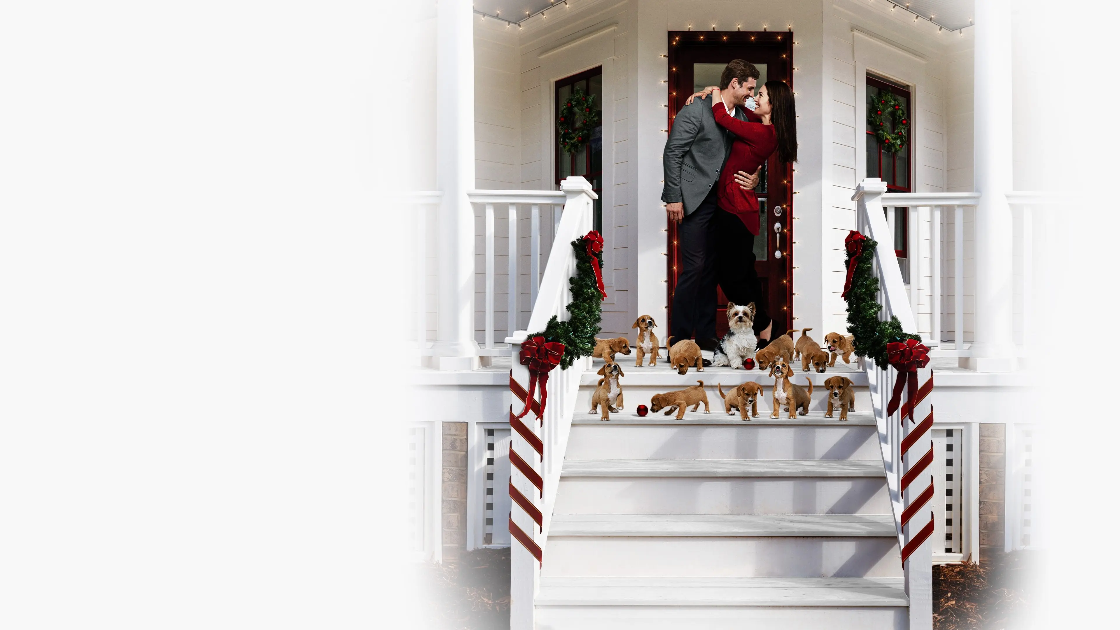 12 Pups of Christmas backdrop