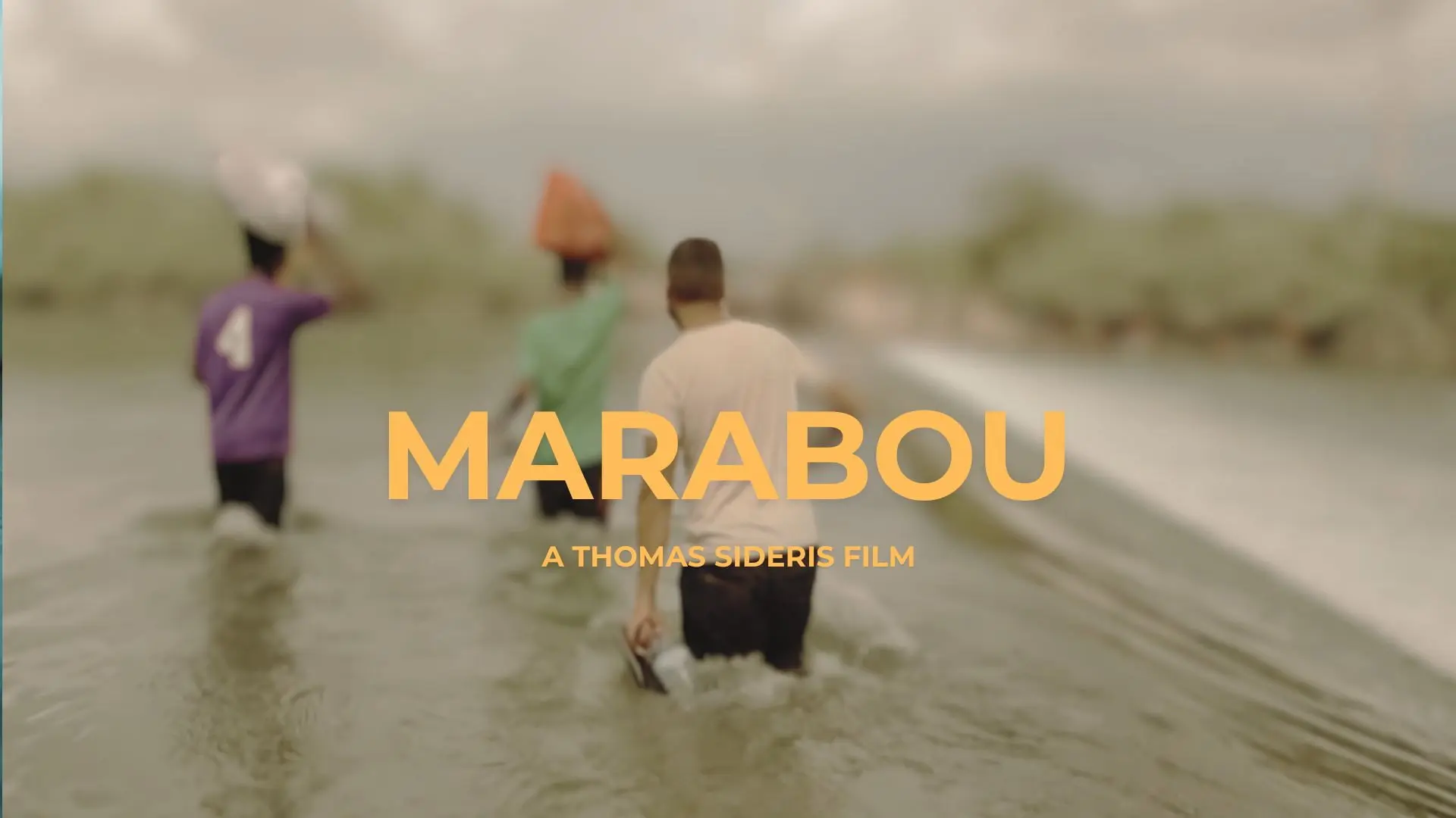 MARABOU backdrop