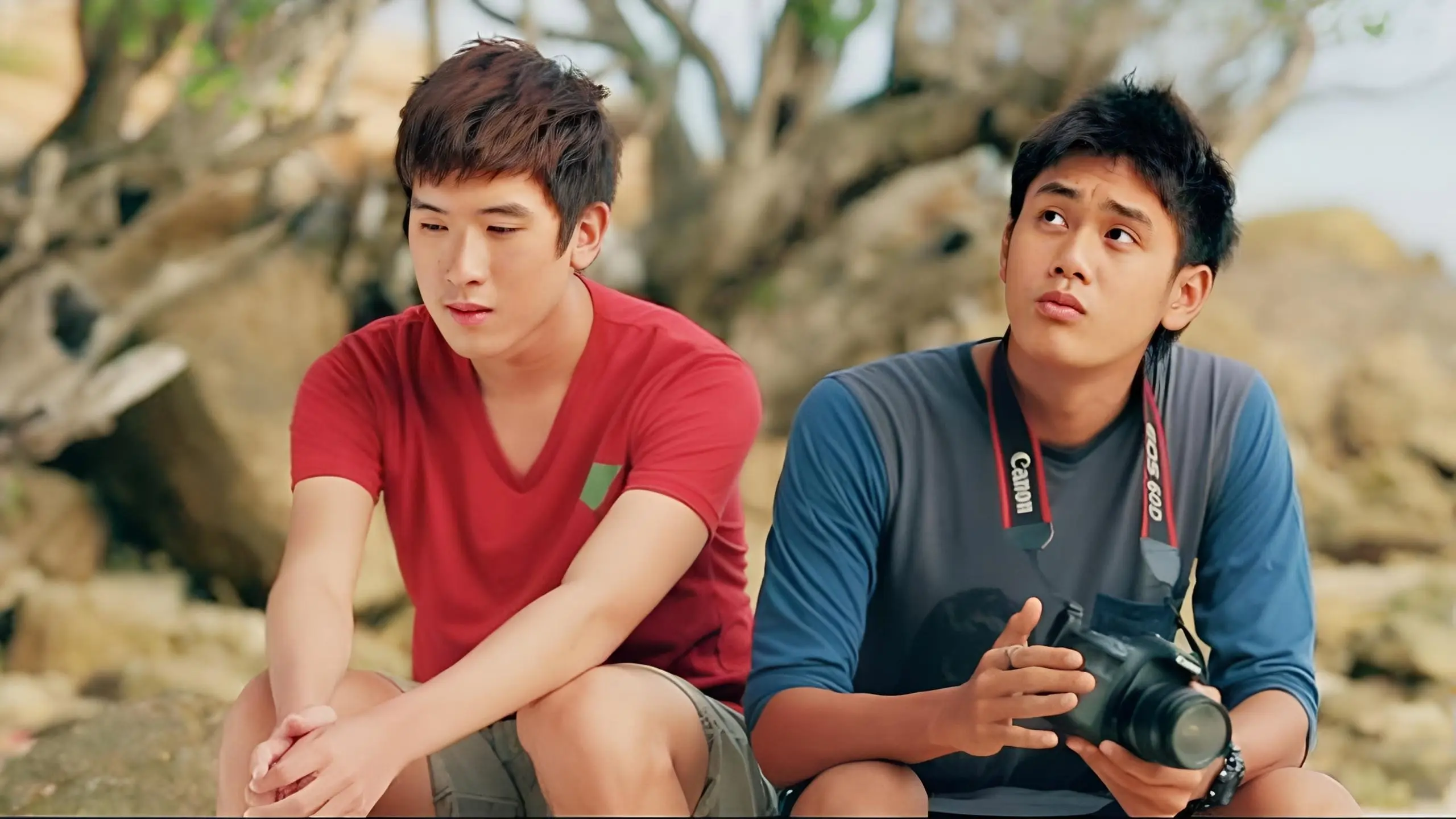 Summer to Winter backdrop