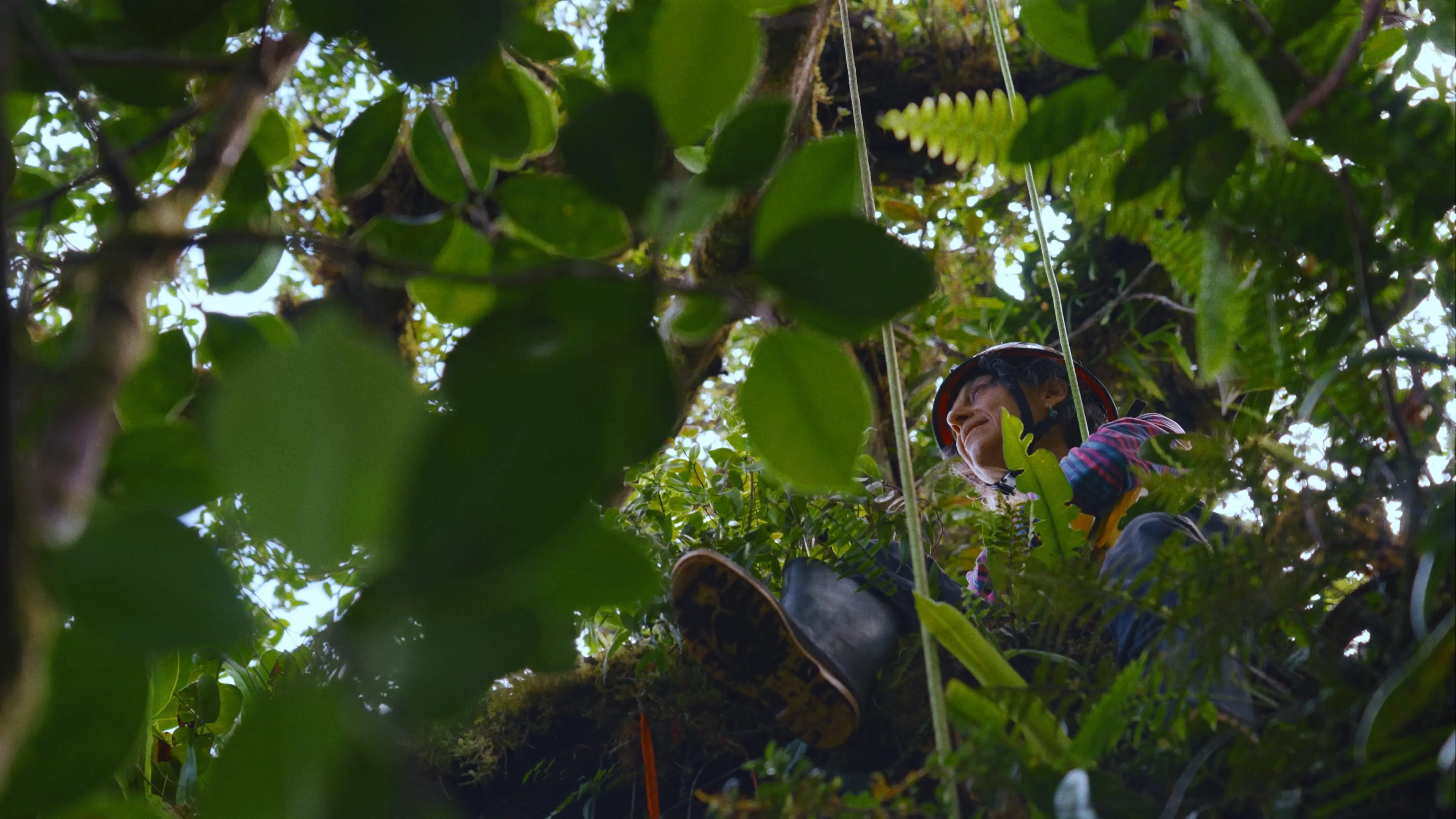 Between Earth & Sky backdrop