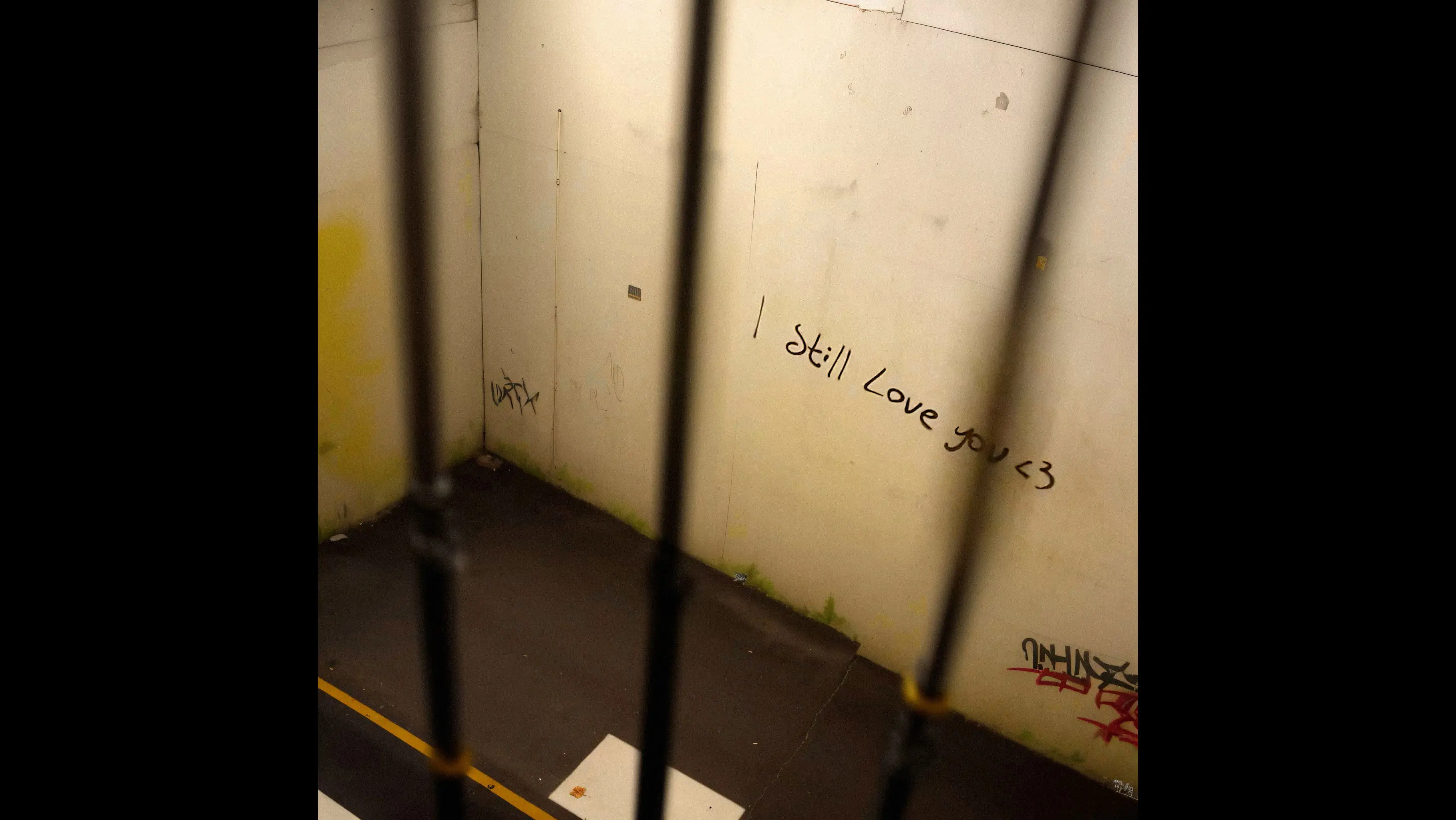 reMemBer2.human backdrop