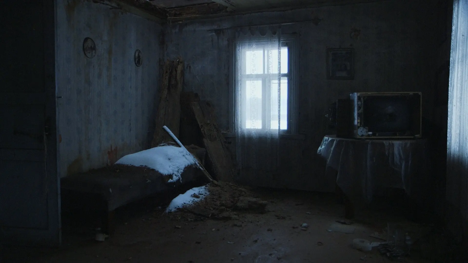 Latvian Coyote backdrop