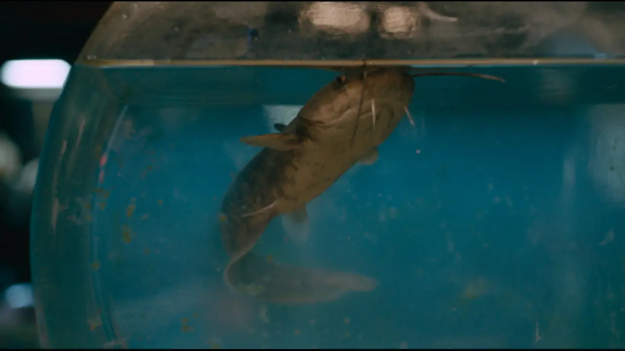 Sugar Glass Bottle backdrop