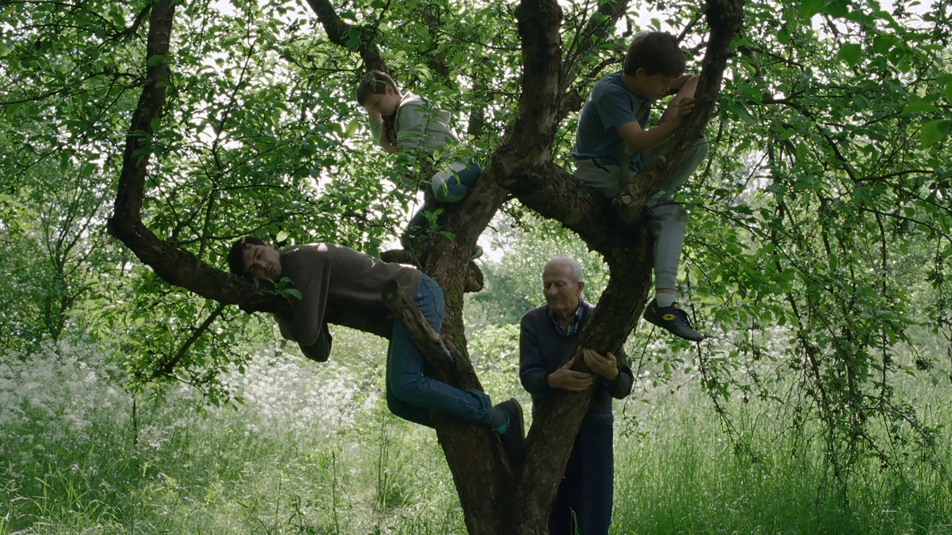 Wind, Talk to Me backdrop