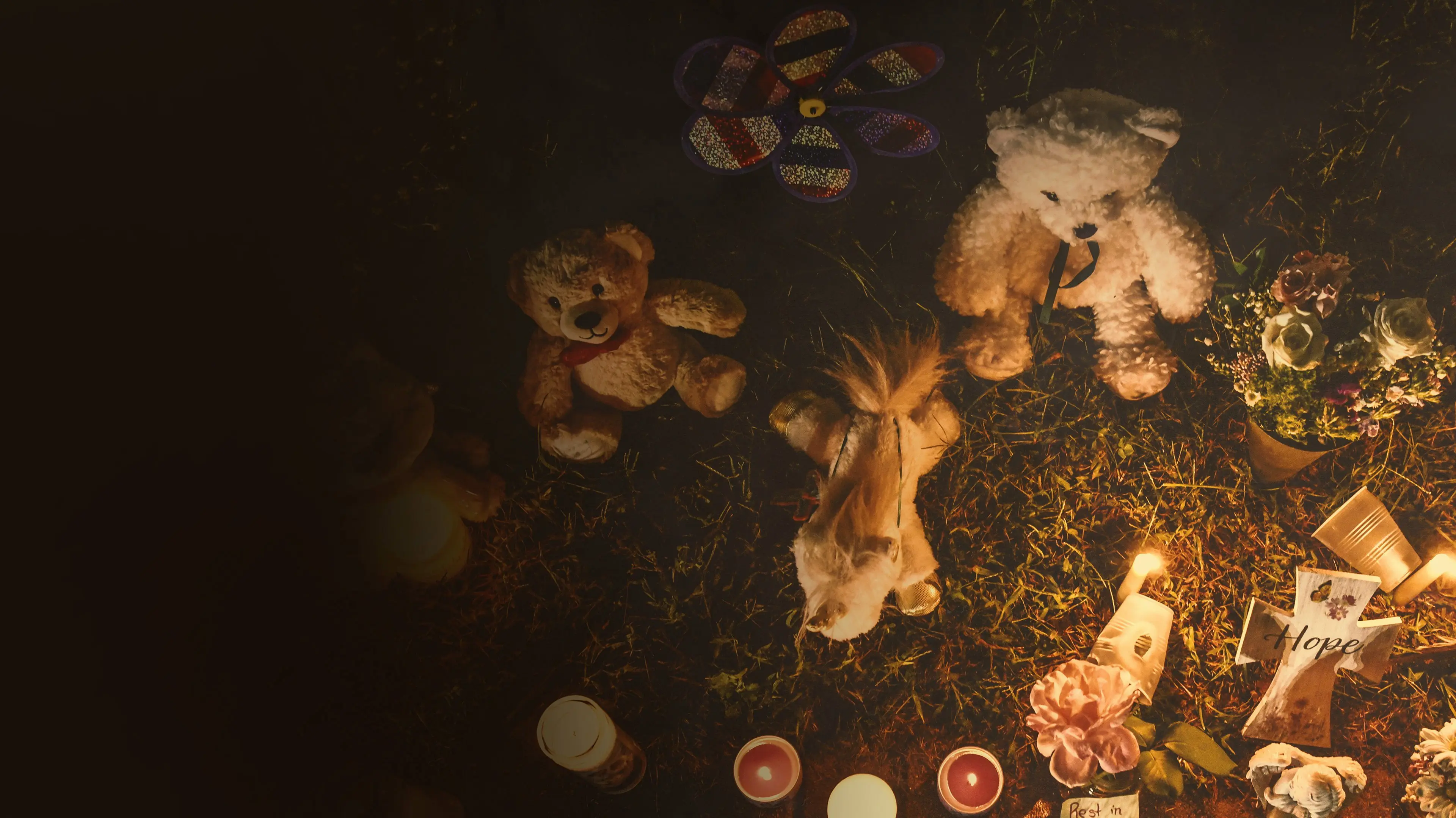 The Murder of Gabby Petito: What Really Happened backdrop