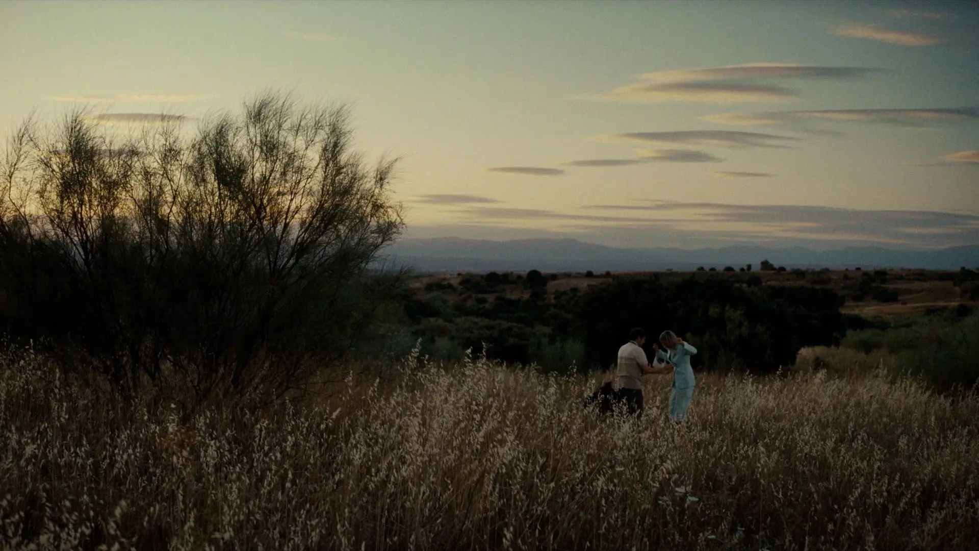 Nothing Personal backdrop