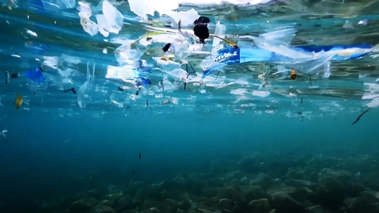 Oceans The Mystery of the Missing Plastic backdrop