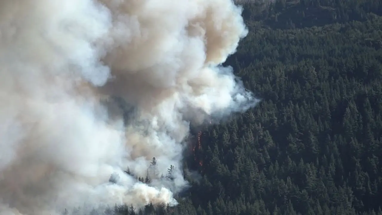 Ecos del Fuego backdrop