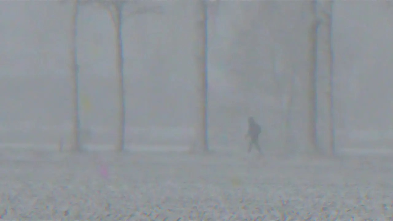 Midwinter Hue backdrop