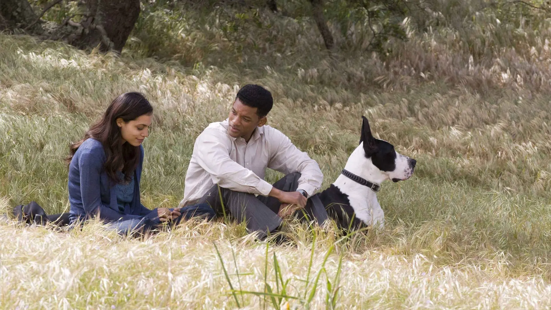 Seven Pounds backdrop