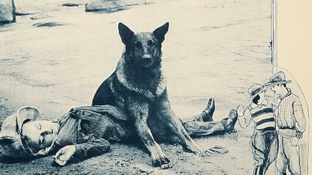 The Big Stunt backdrop