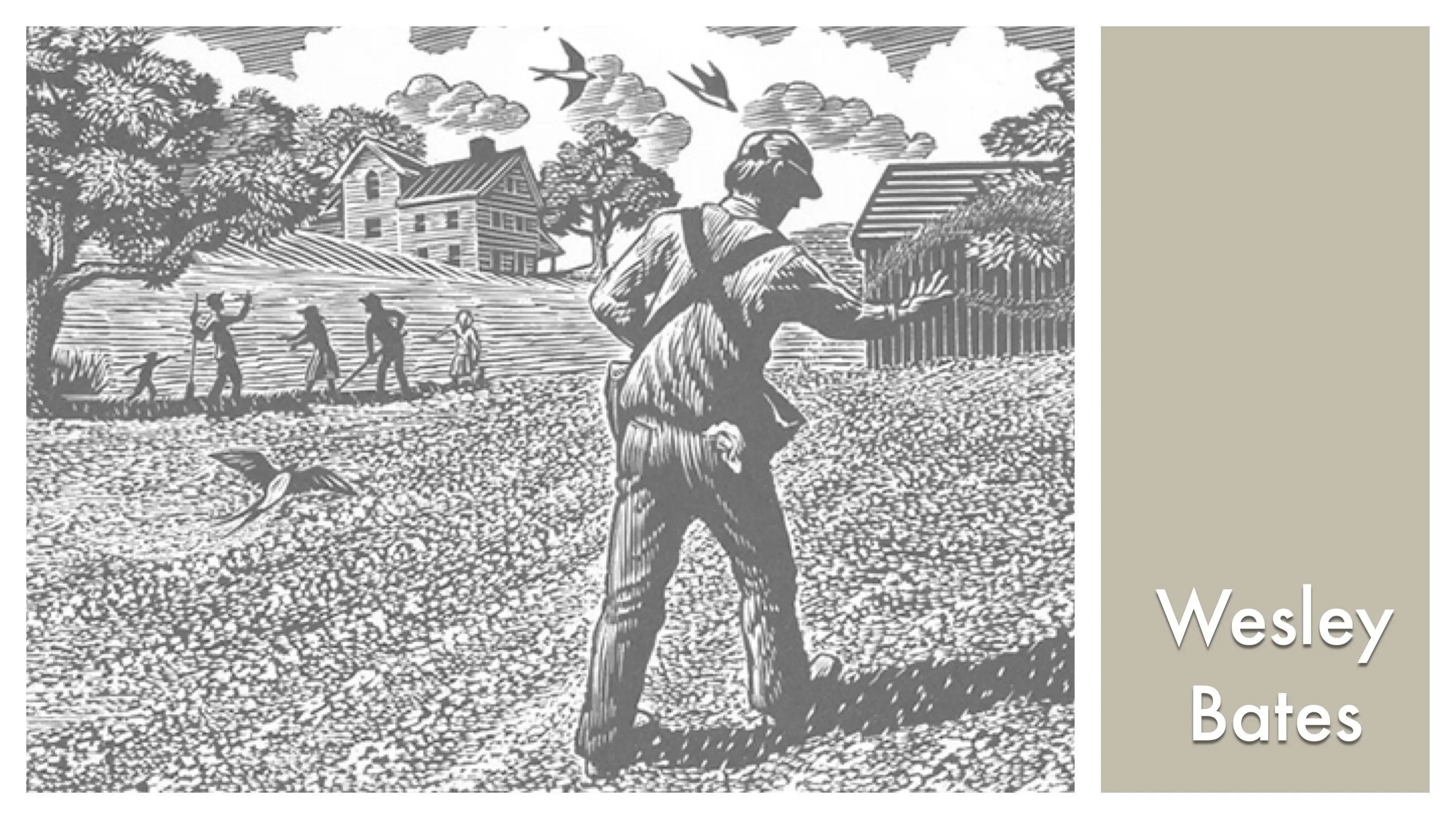 LOOK & SEE:  Wesley W. Bates - Wood Engraver backdrop